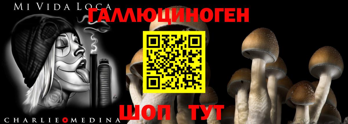 Псилоцибиновые грибы GOLDEN TEACHER Канаш