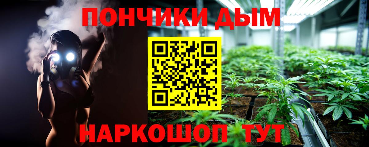 Канабис OG Kush  Вход с VPN  Каннабис ГИДРОПОН  Канаш  Канабис планчик 